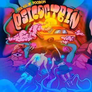 Cover of Psilocybin