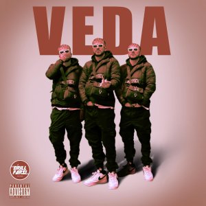 Cover of Veda