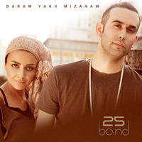 Cover of Daram Yakh Mizanam