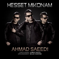 Hesset Mikonam — Ahmad Saeedi cover art