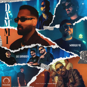 Cover of Dammi