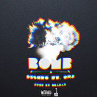 Cover of Bomb