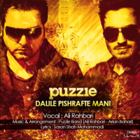 Dalile Pishrafte Mani (Puzzle Radio Edit) — Ali Rahbari cover art