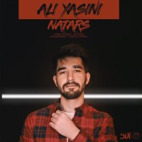 Cover of Natars