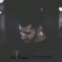 Cover of To Divoone Boodi