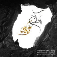 کاور آهنگ باورم کن از علی زندوکیلی