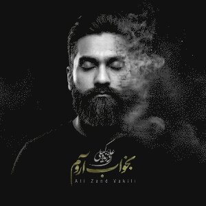 کاور آهنگ بخواب آروم از علی زندوکیلی