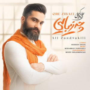 کاور آهنگ چه زیبایی از علی زندوکیلی