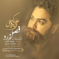 کاور آهنگ فصل زرد از علی زندوکیلی