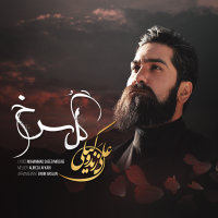 کاور آهنگ گل سرخ از علی زندوکیلی