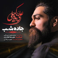 کاور آهنگ جاده شب از علی زندوکیلی
