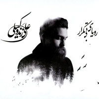 کاور آهنگ جانانه از علی زندوکیلی