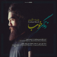 کاور آهنگ زندگی خوب از علی زندوکیلی