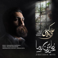 کاور آهنگ زیباترین رویا از علی زندوکیلی