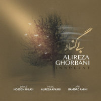 Alireza Ghorbani - 'Bi Gonah'