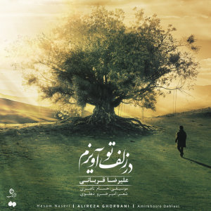کاور آهنگ Dar Zolfe To Avizam از حسام ناصری