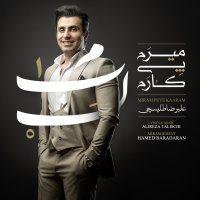 کاور آهنگ میرم پی کارم