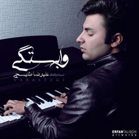 Cover of Vabastegi