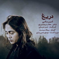 کاور آهنگ Darigh از امین بانی