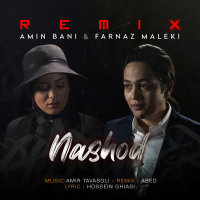 Nashod (Remix) — Satin cover art