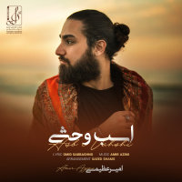 Asbe Vahshi — Amir Azimi cover art