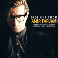 Didi Chi Shod — Amir Farjam cover art