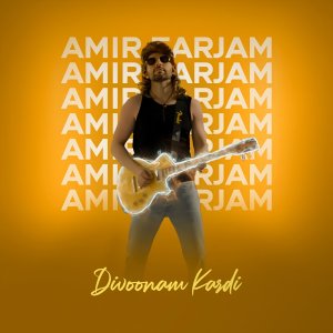 Divoonam Kardi — Amir Farjam cover art