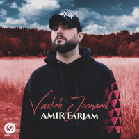 Vasleh Joonami — Amir Farjam cover art