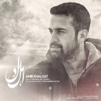 Cover of Ahle Del