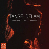 Cover of Tange Delam