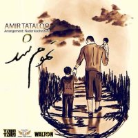 Cover of Tamoom Shod