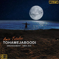 To Hamenja Boodi — Amir Tataloo cover art