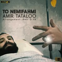 Cover of To Nemifahmi
