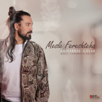 Cover of Mesle Fereshteha