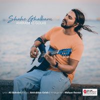 Cover of Shahe Ghalbam