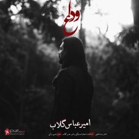 کاور آهنگ وداع