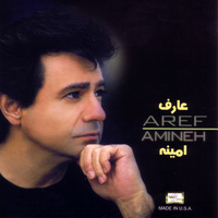 کاور آهنگ مجنون
