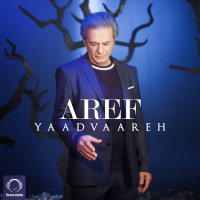Cover of Yaadvaareh