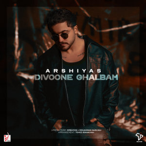 Cover of Divoone Ghalbam