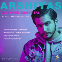کاور آهنگ Dokhtare Zibaye Sal