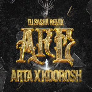 Are DJ Sasha Remix