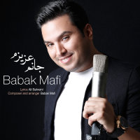 Cover of Janam Azizam