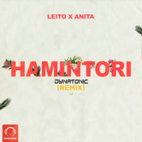 Hamintori Ft Anita (Dynatonic Remix)