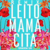 Mamacita (Shahin SR Remix) — Behzad Leito cover art