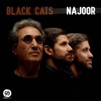 Cover of Najoor