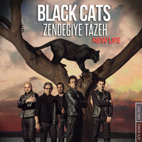 Cover of Zendegiye Tazeh