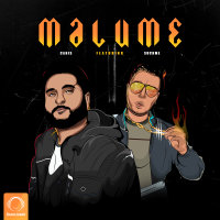 Cover of Malume