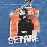 Cover of Setare