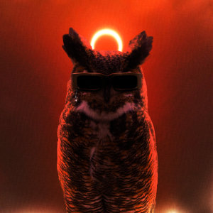 Cover of Boof
