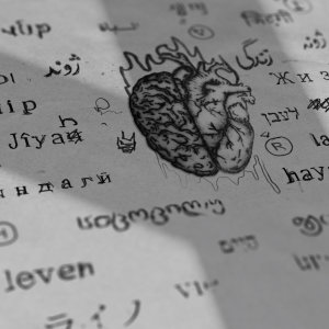 کاور آهنگ کثافت